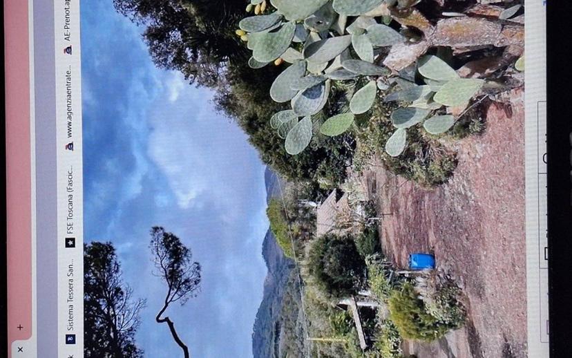 Villa unifamiliare Rio località le venelle snc, Rio — foto 16 di 30