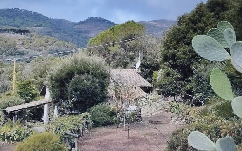 Villa unifamiliare Rio località le venelle snc, Rio — foto 22 di 30