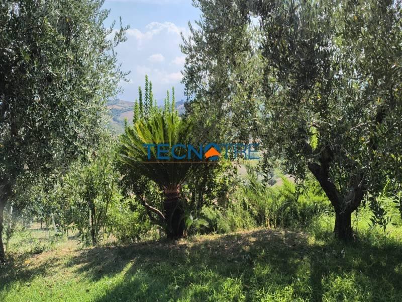 Villa unifamiliare Contrada Collelungo 24, Monsampolo del Tronto — foto 8 di 23