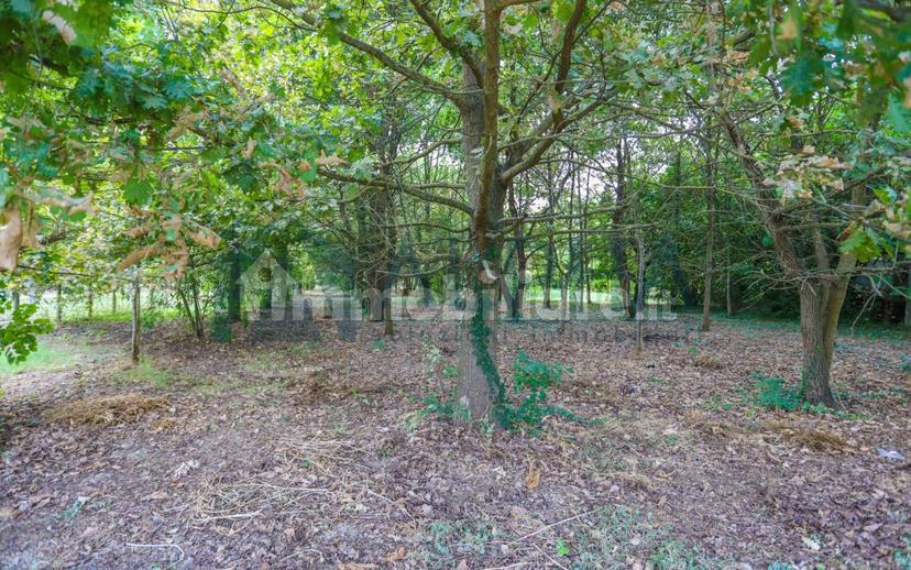 Villa unifamiliare via Trentola, Roncadello, Forlì — foto 19 di 25