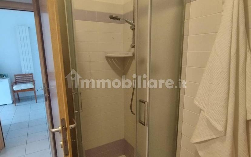 Bilocale via Arlini, Foggetta, Pineto — foto 19 di 19