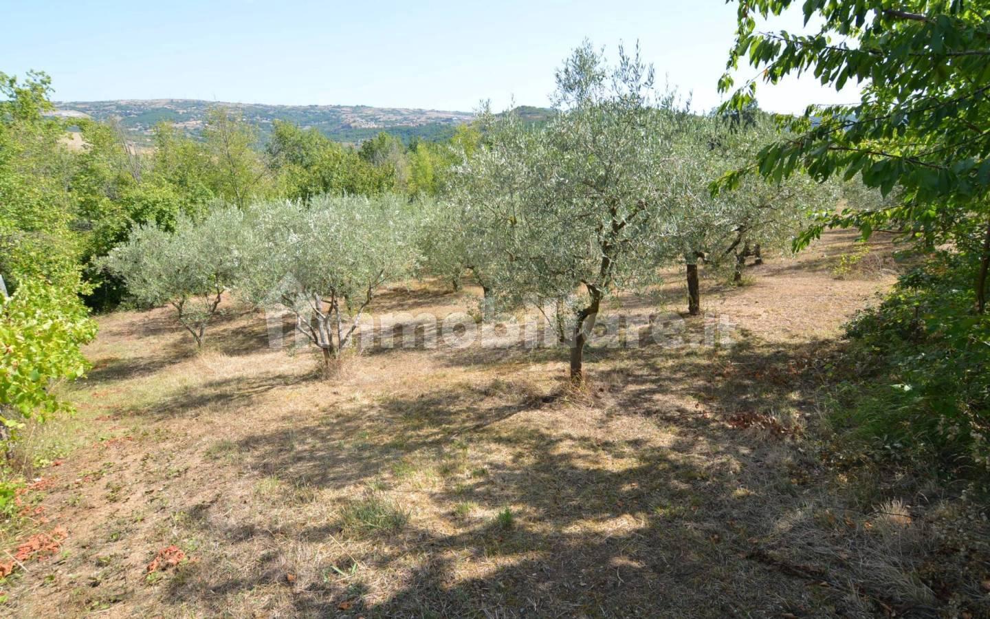 Terratetto unifamiliare 182 m², buono stato, Sant'Angelo dei Lombardi
