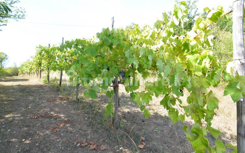 Terratetto unifamiliare 182 m², buono stato, Sant'Angelo dei Lombardi — foto 6 di 17