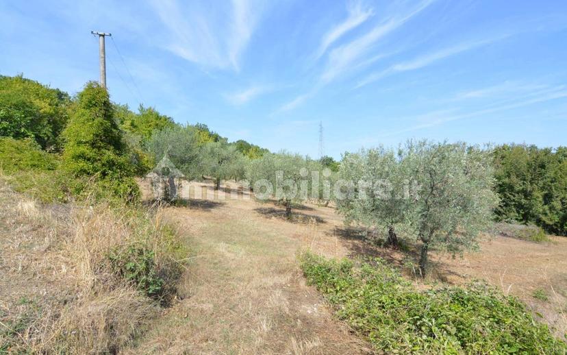 Terratetto unifamiliare 182 m², buono stato, Sant'Angelo dei Lombardi — foto 15 di 17