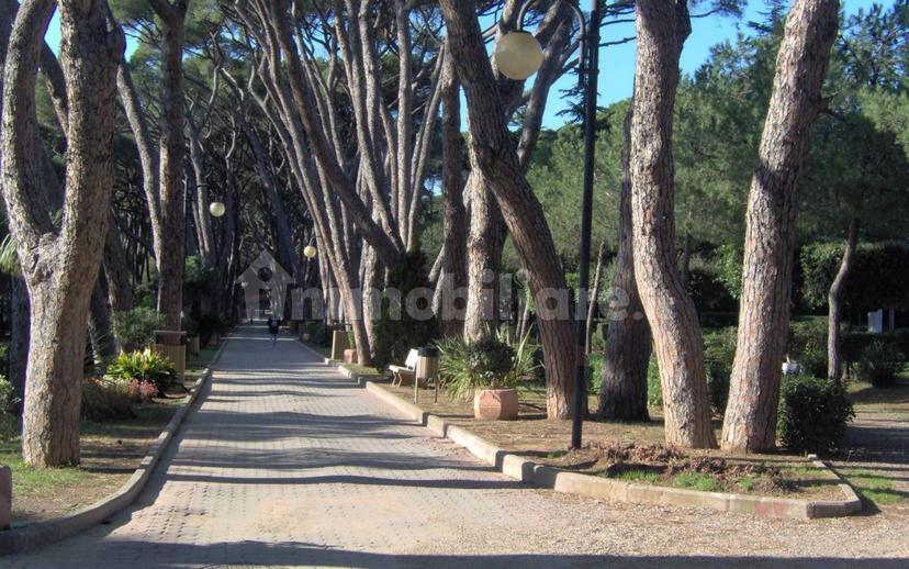 Trilocale via Gorizia, Castiglioncello, Rosignano Marittimo — foto 16 di 28