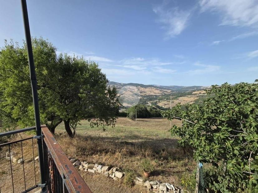Terratetto unifamiliare Contrada Covatta, Ripalimosani — foto 14 di 35