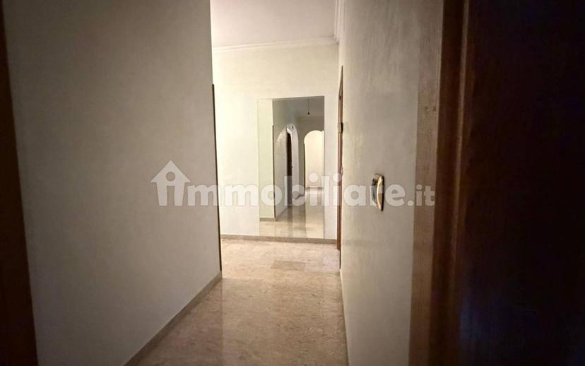 Stanza singola via Benvenuto Cellini, Cassino — foto 2 di 15