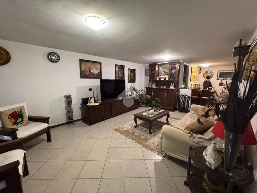 Villa bifamiliare viale Beato Quagliotti 62, Cameri — foto 6 di 40