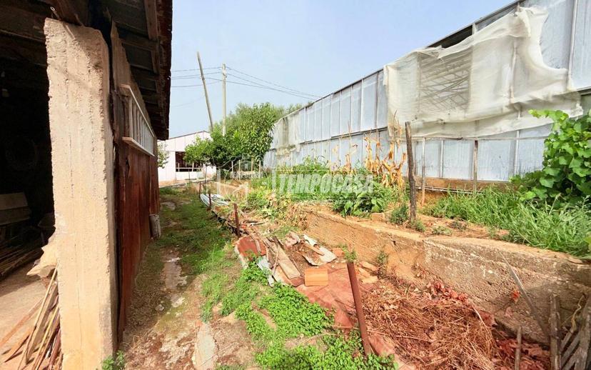 Terratetto unifamiliare Strada del colle 13, Bussana, Sanremo — foto 20 di 32