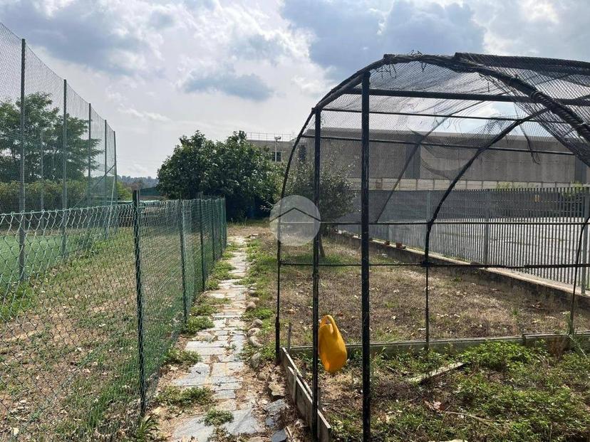 Quadrilocale via Quintino Sella 43, Quaregna Cerreto — foto 29 di 32