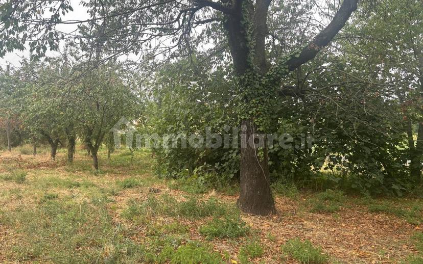 Rustico frazione Villò, Vigolzone — foto 2 di 12