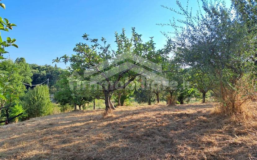 Villa unifamiliare, buono stato, 97 m², Castelbottaccio — foto 12 di 33