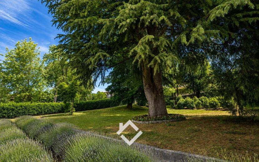Villa unifamiliare, ottimo stato, 588 m², Centro, Ranco — foto 7 di 51