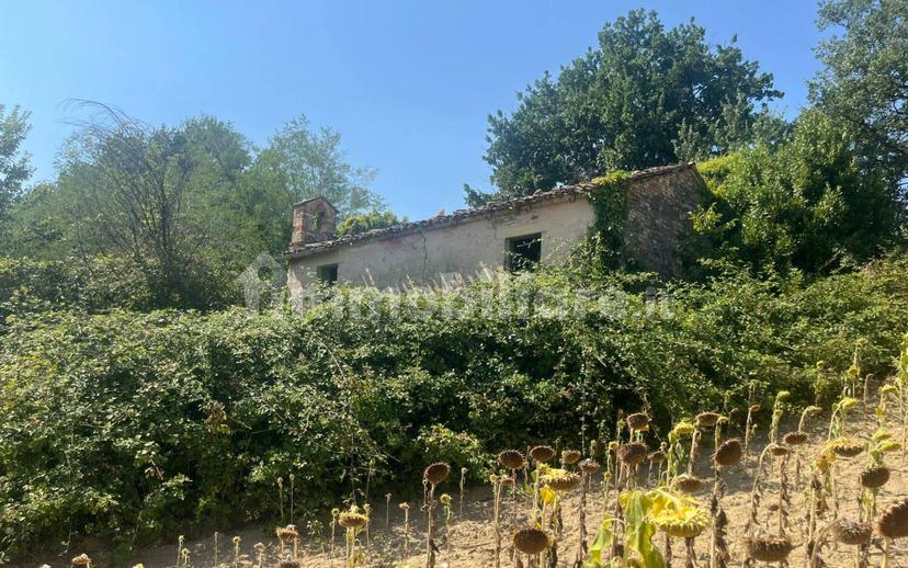 Casale Contrada Santa Maria 35, Montelparo — foto 12 di 12