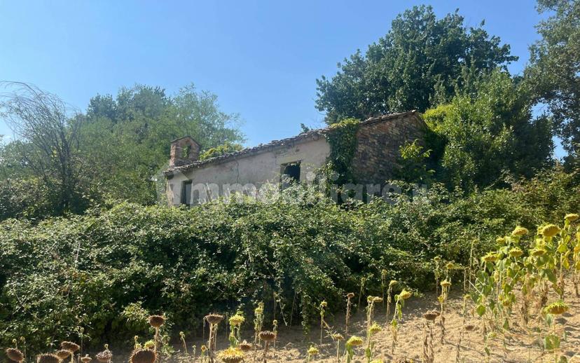 Casale Contrada Santa Maria 35, Montelparo — foto 2 di 12
