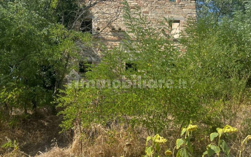 Casale Contrada Santa Maria 35, Montelparo — foto 8 di 12