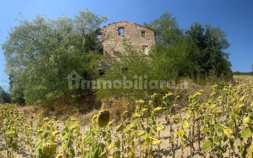Casale Contrada Santa Maria 35, Montelparo — foto 7 di 12