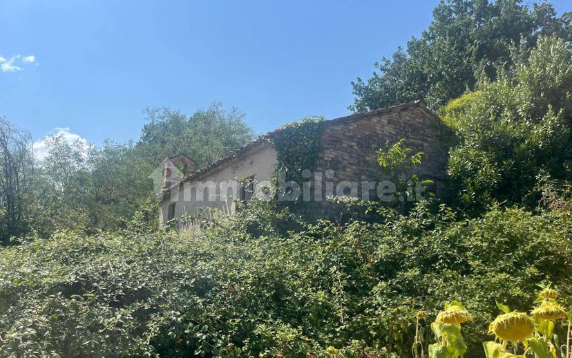 Casale Contrada Santa Maria 35, Montelparo — foto 6 di 12