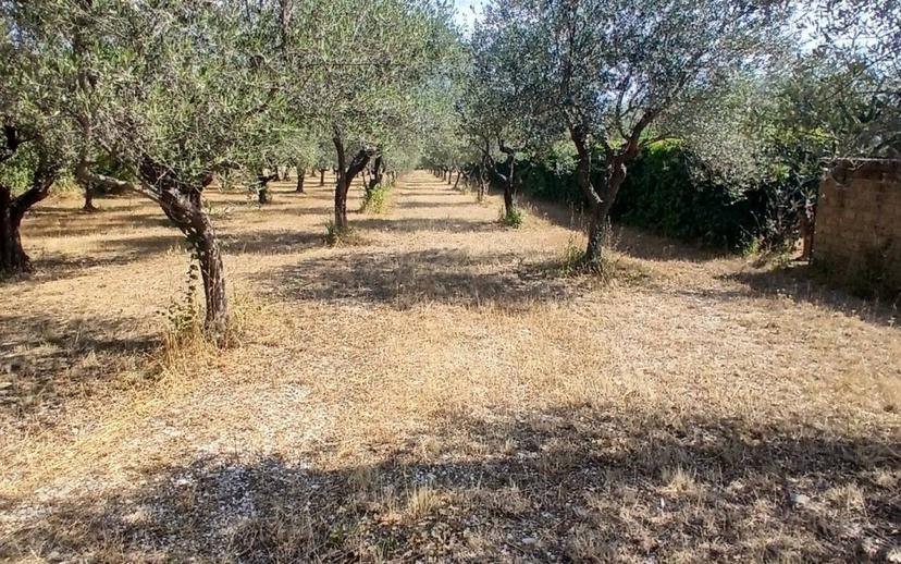 Terratetto unifamiliare via BAUGLIONE 9, Centro, Civitaquana — foto 14 di 25