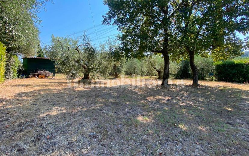 Casale via del Poggio, Montenero Basso - Montenero Alto, Livorno — foto 28 di 28