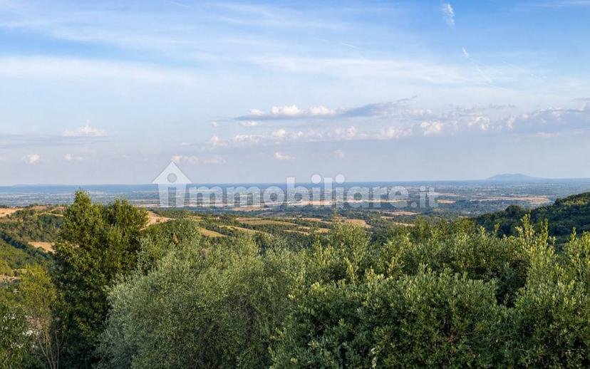 Villa a schiera Strada Provinciale Poggio Murella, Manciano — foto 9 di 15