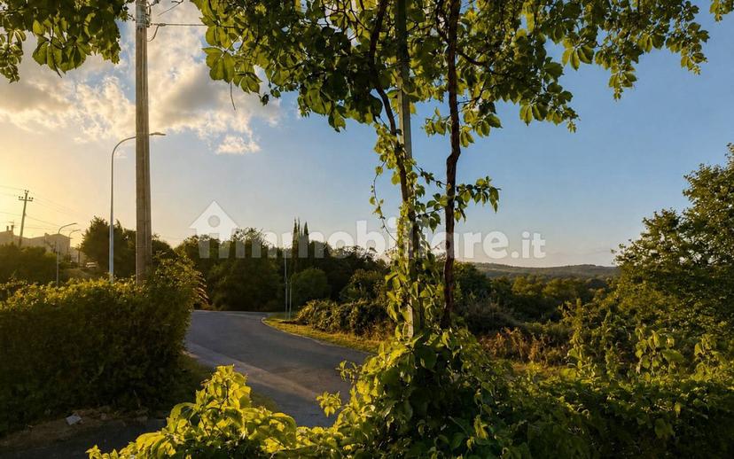 Villa a schiera Strada Provinciale Poggio Murella, Manciano — foto 4 di 15