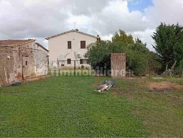 Rustico, buono stato, 230 m², Magliano in Toscana — foto 20 di 23