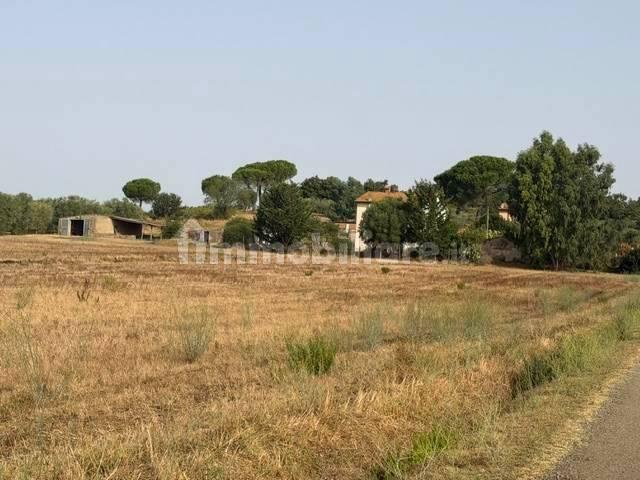 Rustico, buono stato, 230 m², Magliano in Toscana — foto 18 di 23