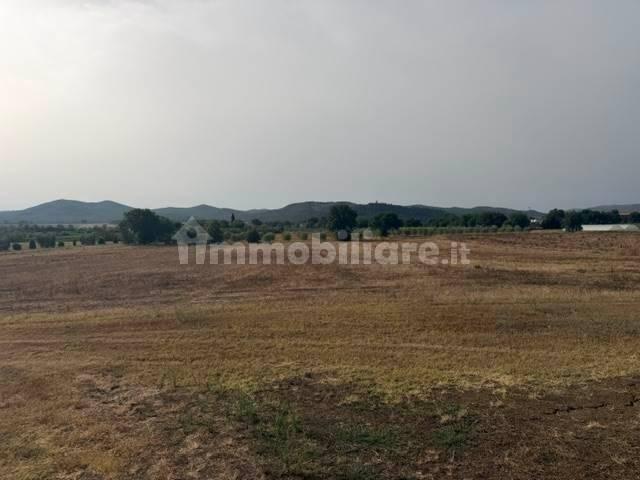 Rustico, buono stato, 230 m², Magliano in Toscana — foto 16 di 23
