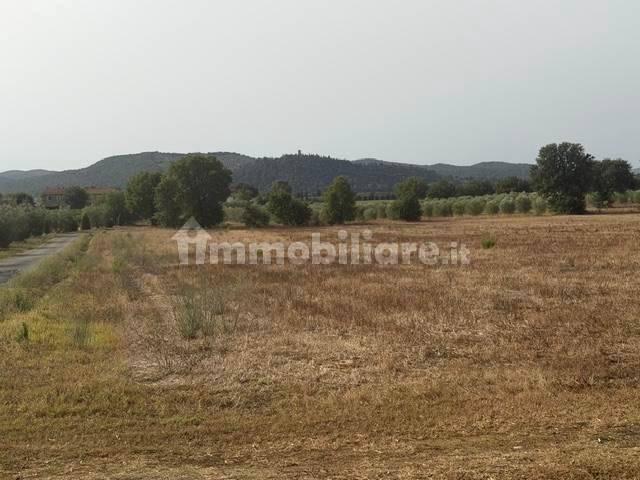 Rustico, buono stato, 230 m², Magliano in Toscana — foto 11 di 23