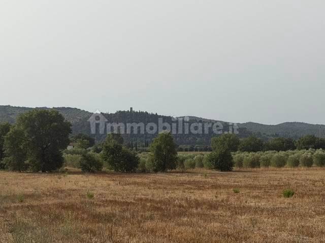 Rustico, buono stato, 230 m², Magliano in Toscana — foto 9 di 23