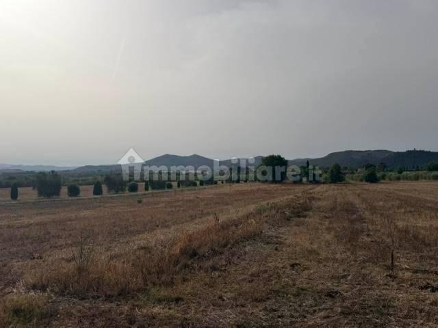 Rustico, buono stato, 230 m², Magliano in Toscana — foto 6 di 23