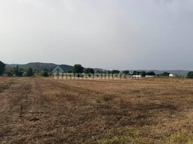Rustico, buono stato, 230 m², Magliano in Toscana