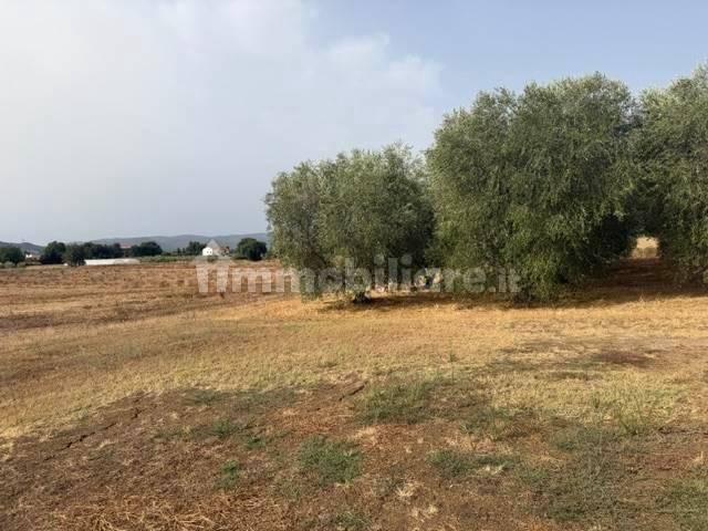 Rustico, buono stato, 230 m², Magliano in Toscana — foto 22 di 23