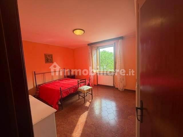 Rustico, buono stato, 230 m², Magliano in Toscana — foto 21 di 23