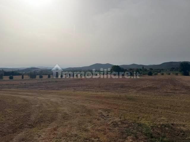Rustico, buono stato, 230 m², Magliano in Toscana — foto 17 di 23