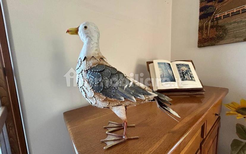 Appartamento buono stato, piano terra, Olmo, Santa Caterina, Falcinello, Sarzana — foto 5 di 40
