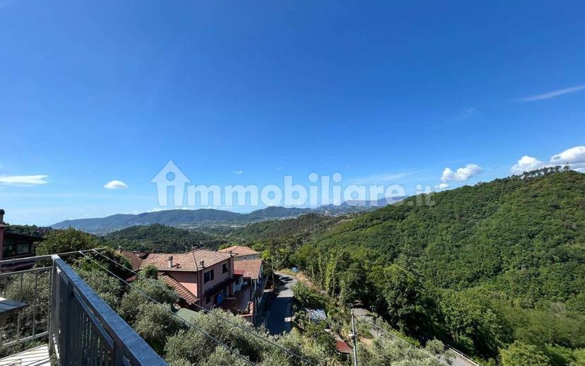 Appartamento buono stato, piano terra, Olmo, Santa Caterina, Falcinello, Sarzana — foto 25 di 40