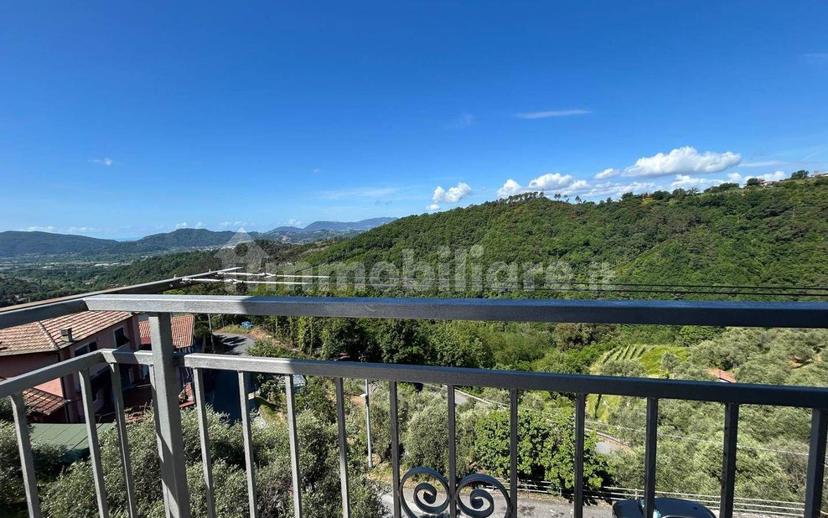 Appartamento buono stato, piano terra, Olmo, Santa Caterina, Falcinello, Sarzana — foto 8 di 40