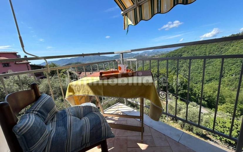 Appartamento buono stato, piano terra, Olmo, Santa Caterina, Falcinello, Sarzana — foto 27 di 40