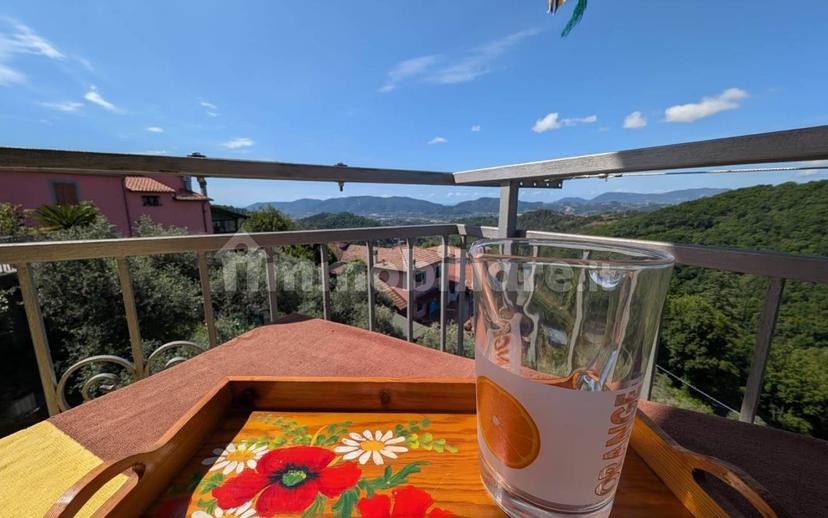 Appartamento buono stato, piano terra, Olmo, Santa Caterina, Falcinello, Sarzana — foto 15 di 40