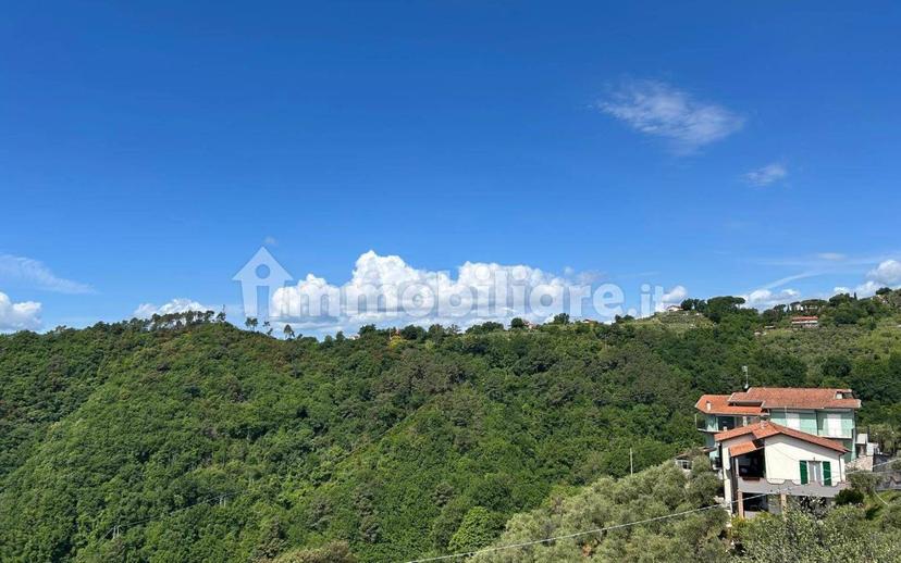 Bilocale buono stato, seminterrato, Olmo, Santa Caterina, Falcinello, Sarzana — foto 10 di 29