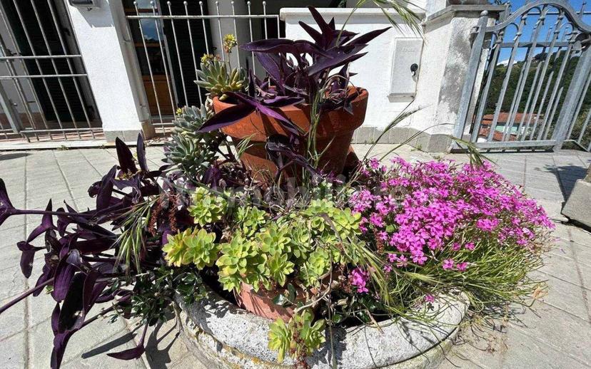 Appartamento buono stato, piano terra, Olmo, Santa Caterina, Falcinello, Sarzana — foto 9 di 40