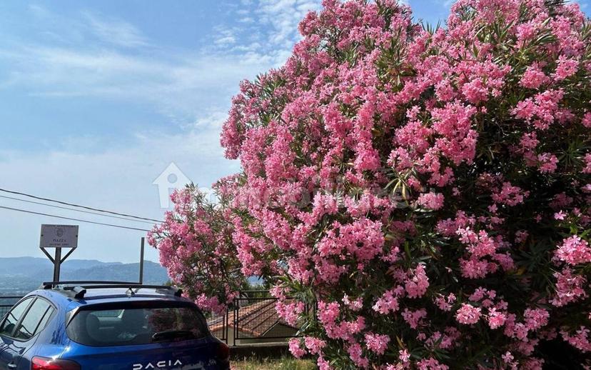 Terratetto unifamiliare 170 m², buono stato, Podenzana — foto 23 di 36