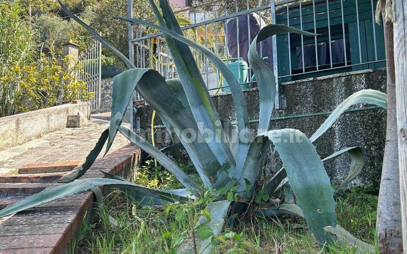 Bilocale buono stato, seminterrato, Olmo, Santa Caterina, Falcinello, Sarzana