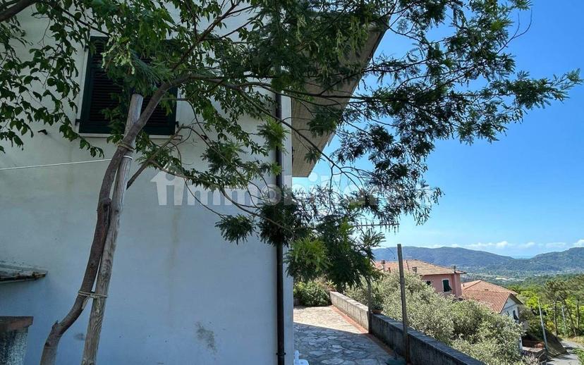 Bilocale buono stato, seminterrato, Olmo, Santa Caterina, Falcinello, Sarzana — foto 13 di 29