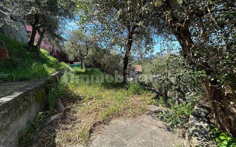 Bilocale buono stato, seminterrato, Olmo, Santa Caterina, Falcinello, Sarzana — foto 11 di 29