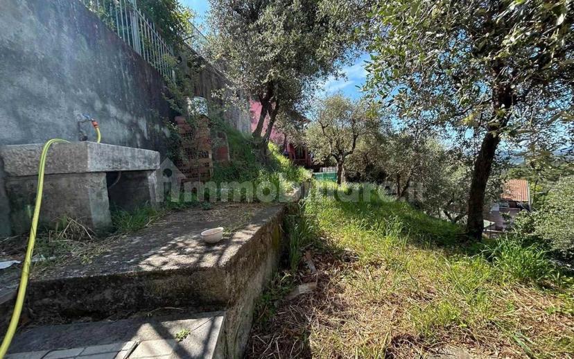 Bilocale buono stato, seminterrato, Olmo, Santa Caterina, Falcinello, Sarzana — foto 21 di 29