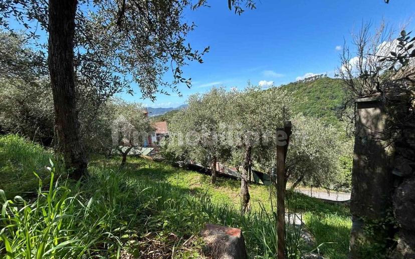 Bilocale buono stato, seminterrato, Olmo, Santa Caterina, Falcinello, Sarzana — foto 18 di 29