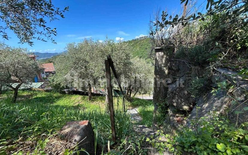 Bilocale buono stato, seminterrato, Olmo, Santa Caterina, Falcinello, Sarzana — foto 17 di 29